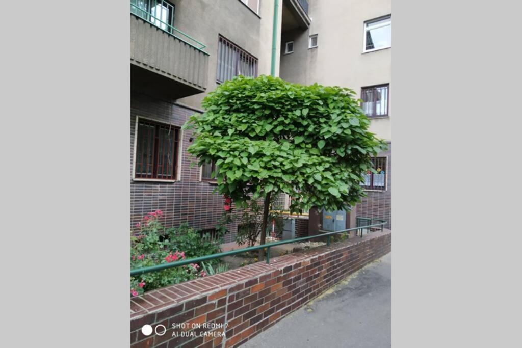 A Cosy Studio In The City Centre Братислава Экстерьер фото